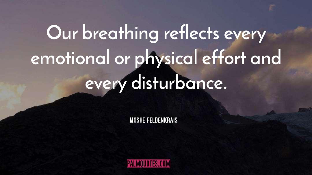 Disturbance quotes by Moshe Feldenkrais