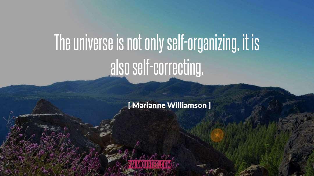 Disturbing The Universe quotes by Marianne Williamson