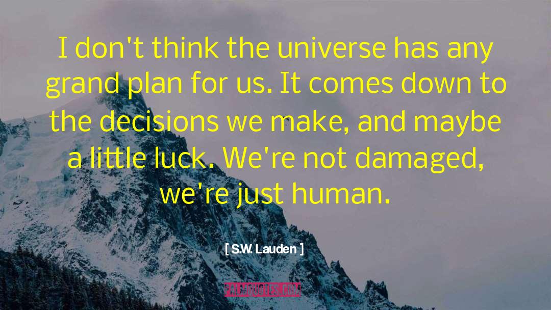 Disturbing The Universe quotes by S.W. Lauden