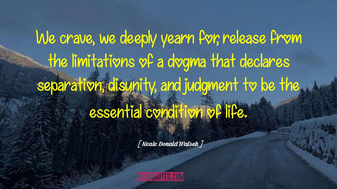 Disunity quotes by Neale Donald Walsch