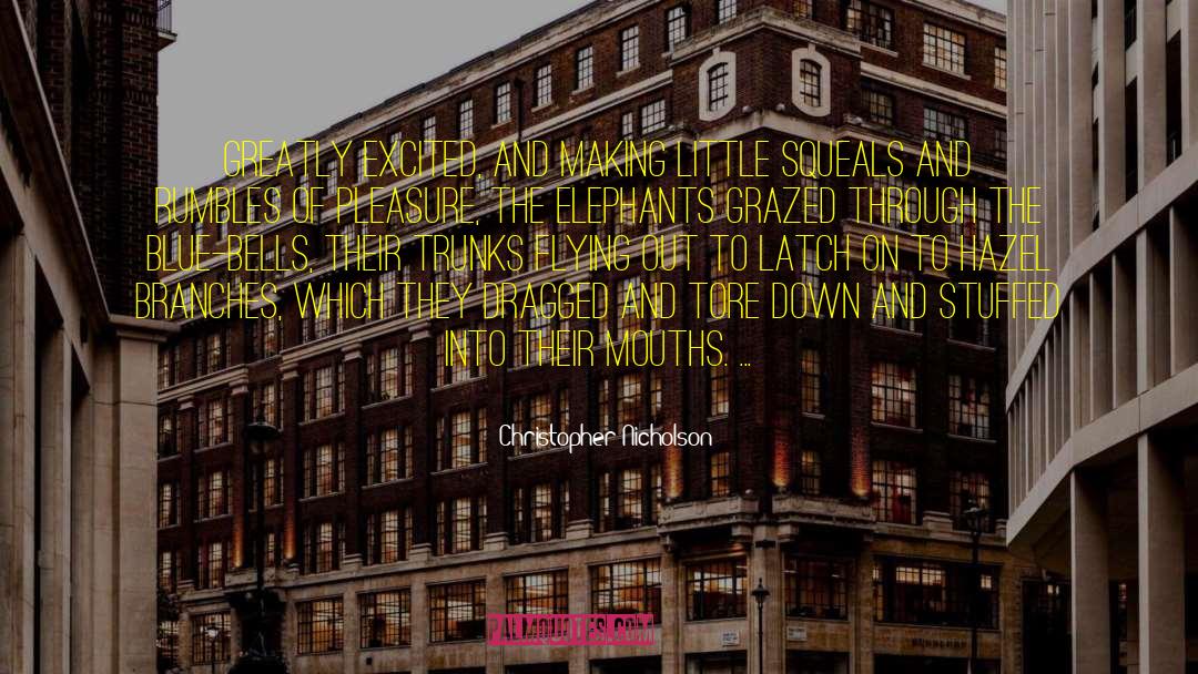 Ditz Stuffed quotes by Christopher Nicholson