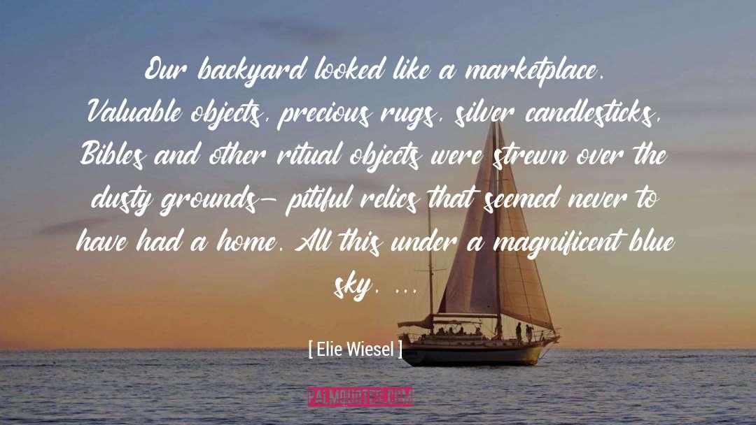 Diurne Rugs quotes by Elie Wiesel
