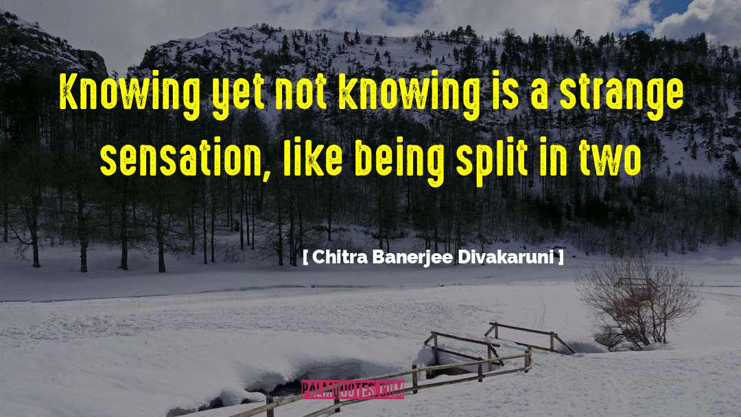 Divakaruni quotes by Chitra Banerjee Divakaruni