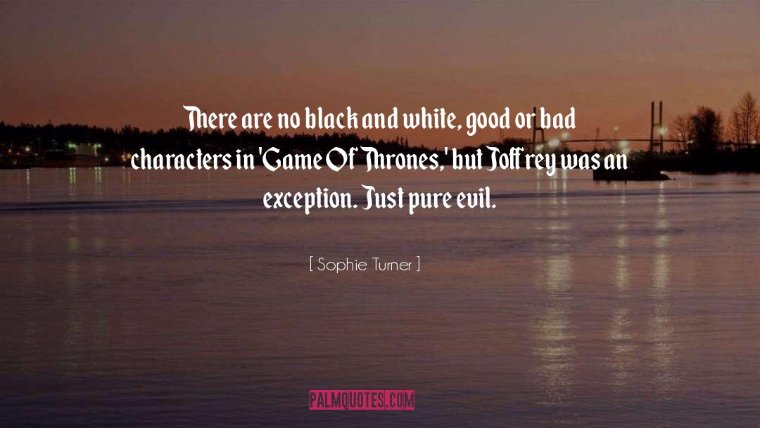 Diverse Characters quotes by Sophie Turner