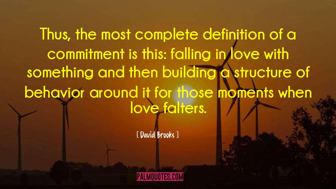 Diverse Love quotes by David Brooks