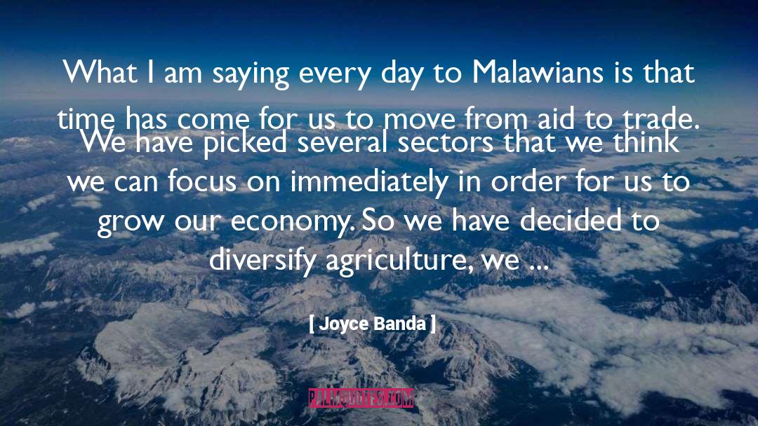 Diversify quotes by Joyce Banda