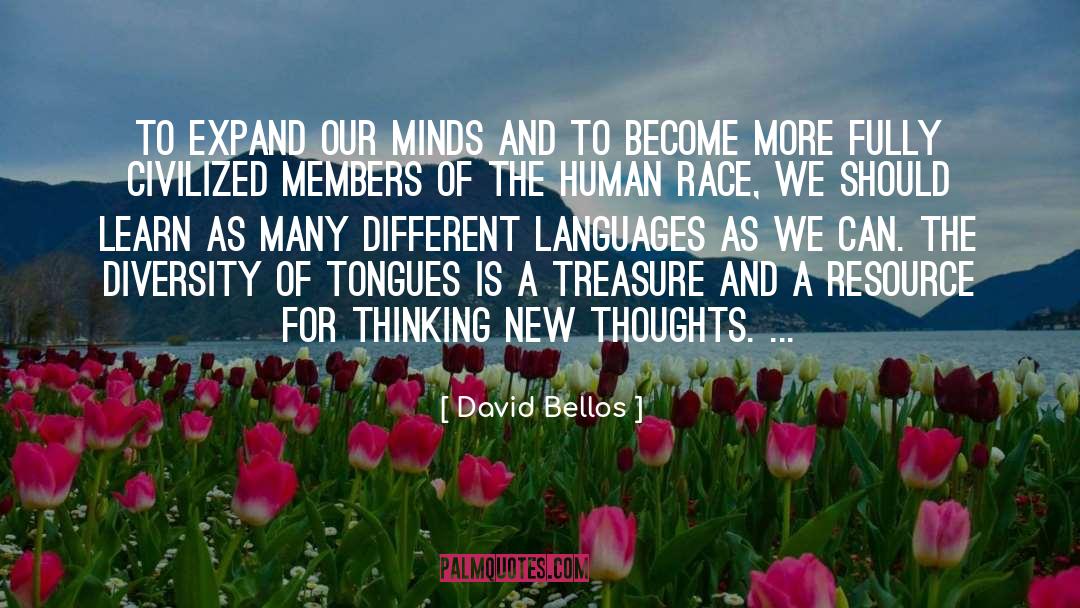 Diversity And Inclusiveness quotes by David Bellos