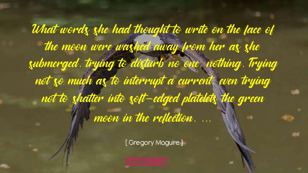 Diversity Of Thought quotes by Gregory Maguire