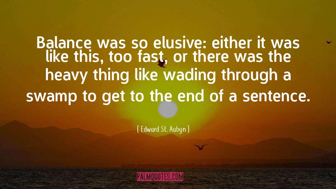 Divide Elusive quotes by Edward St. Aubyn