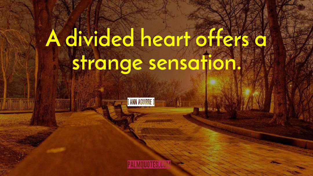 Divided Heart quotes by Ann Aguirre