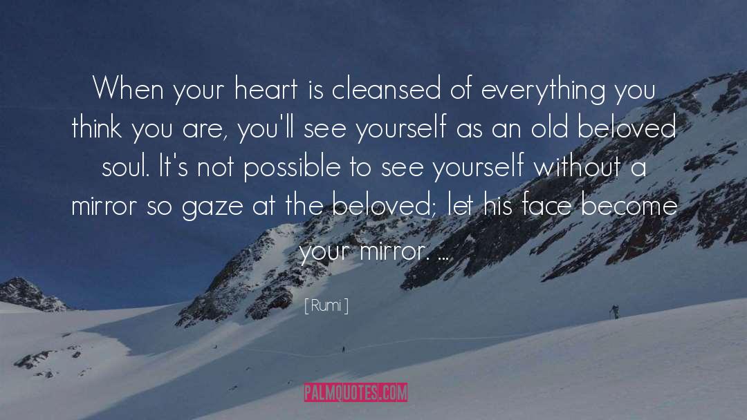 Divided Heart quotes by Rumi