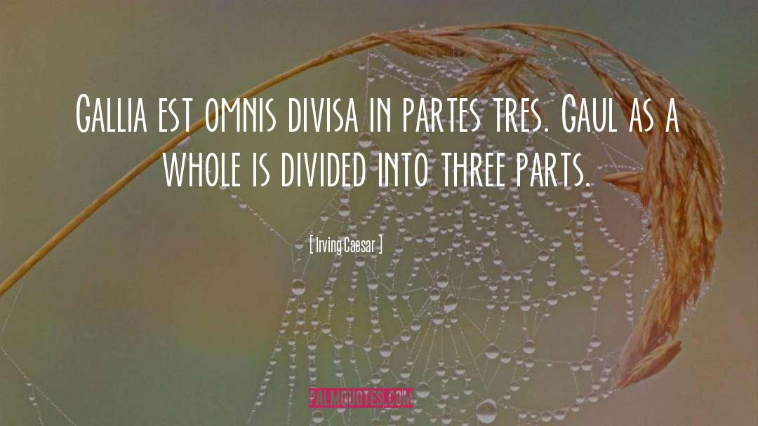 Divided Nation quotes by Irving Caesar