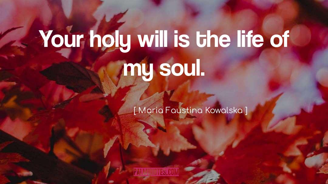 Divided Soul quotes by Maria Faustina Kowalska