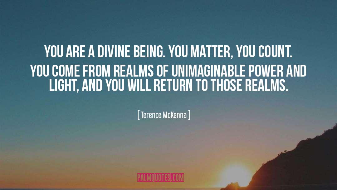 Divine Being quotes by Terence McKenna