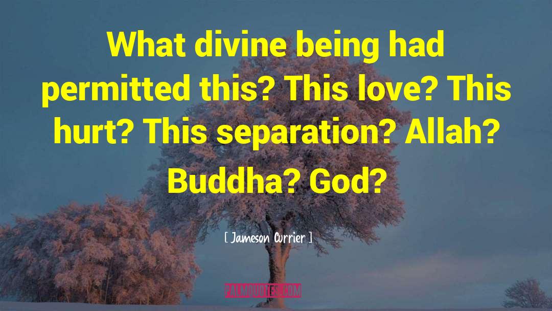 Divine Being quotes by Jameson Currier