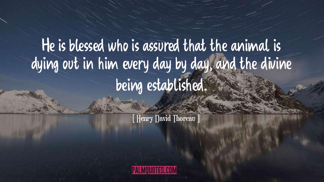 Divine Being quotes by Henry David Thoreau