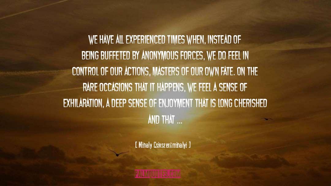 Divine Force quotes by Mihaly Csikszentmihalyi