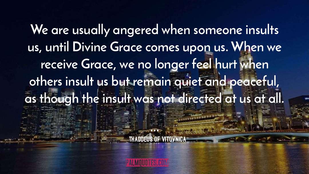 Divine Grace quotes by Thaddeus Of Vitovnica
