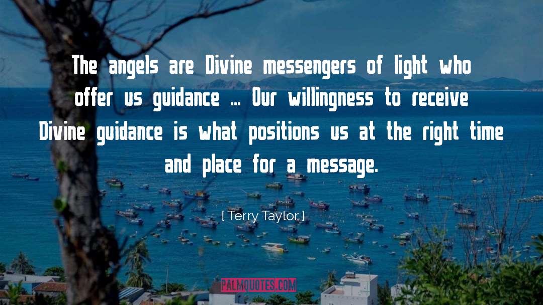 Divine Guidance quotes by Terry Taylor