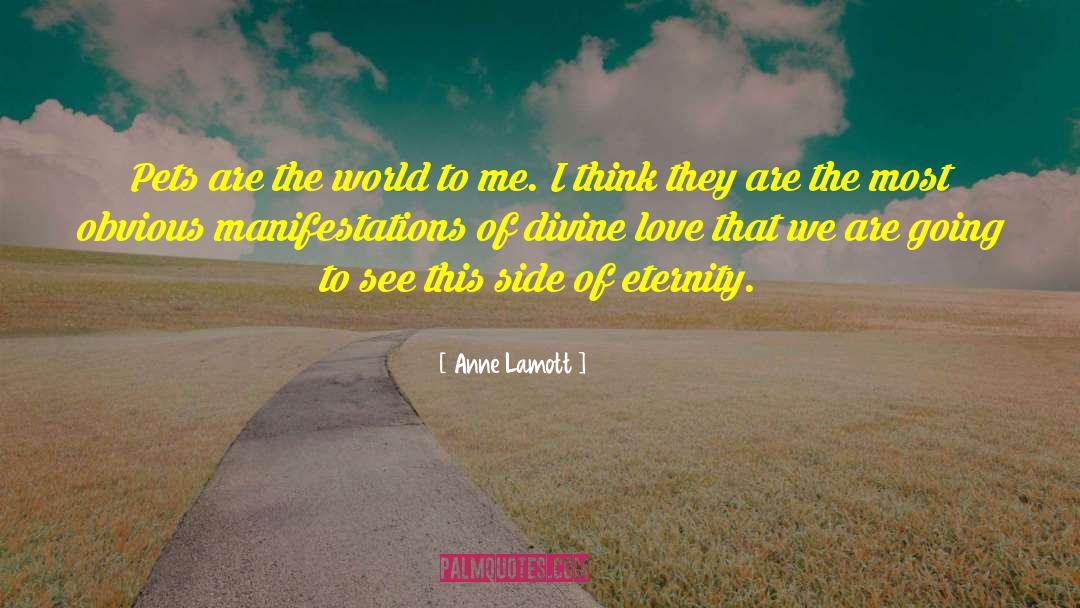 Divine Immunity quotes by Anne Lamott