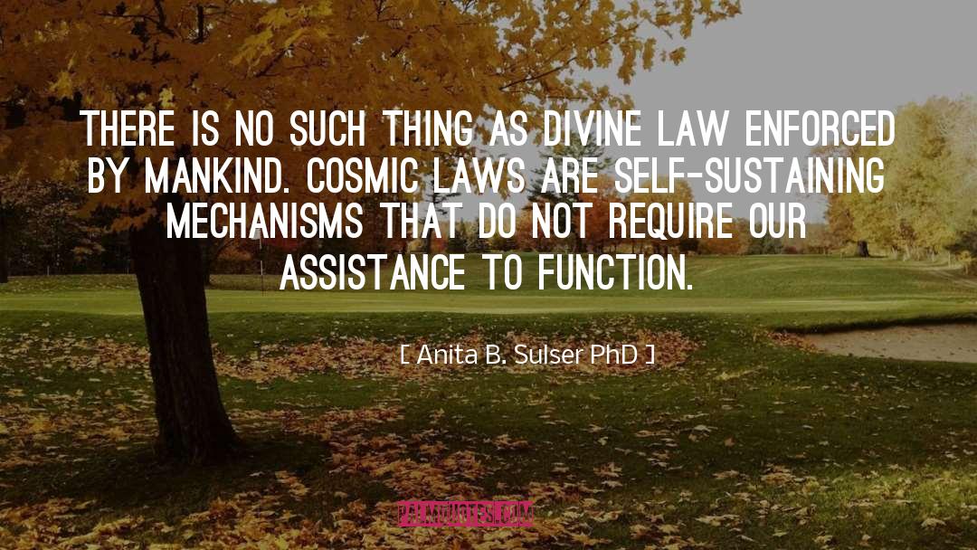 Divine Law quotes by Anita B. Sulser PhD
