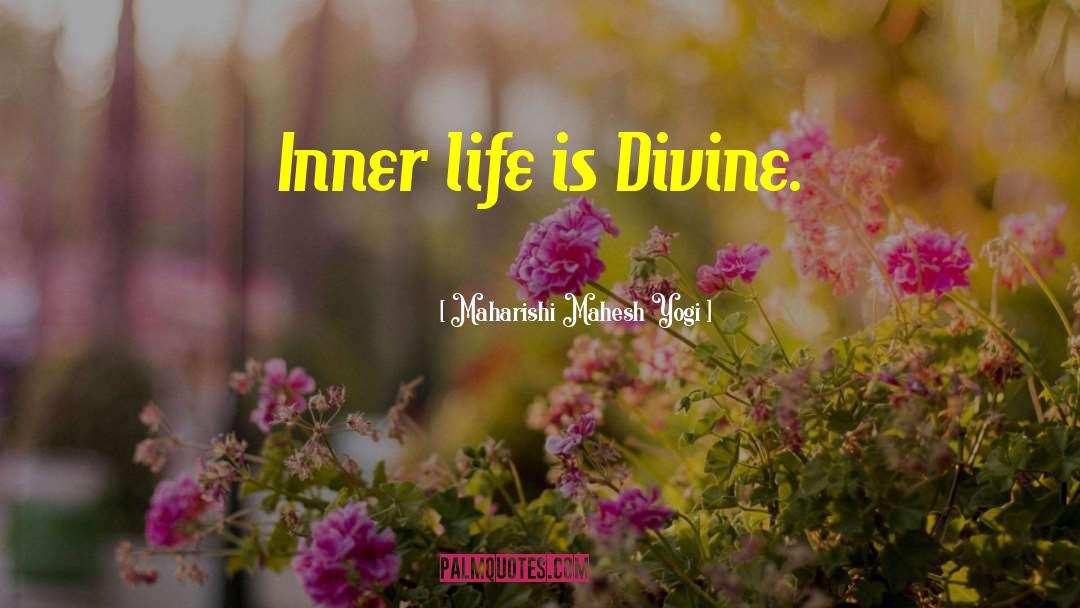 Divine Life quotes by Maharishi Mahesh Yogi