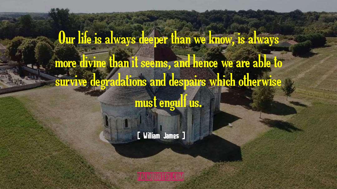 Divine Life quotes by William James