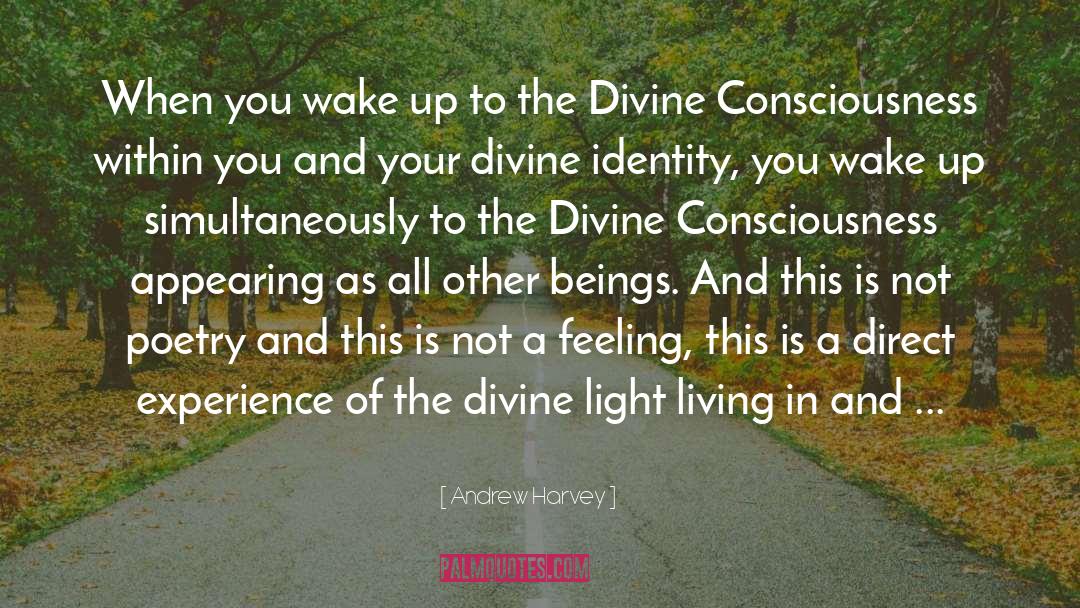 Divine Light quotes by Andrew Harvey