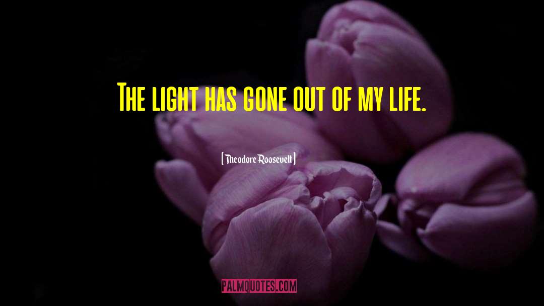 Divine Light quotes by Theodore Roosevelt