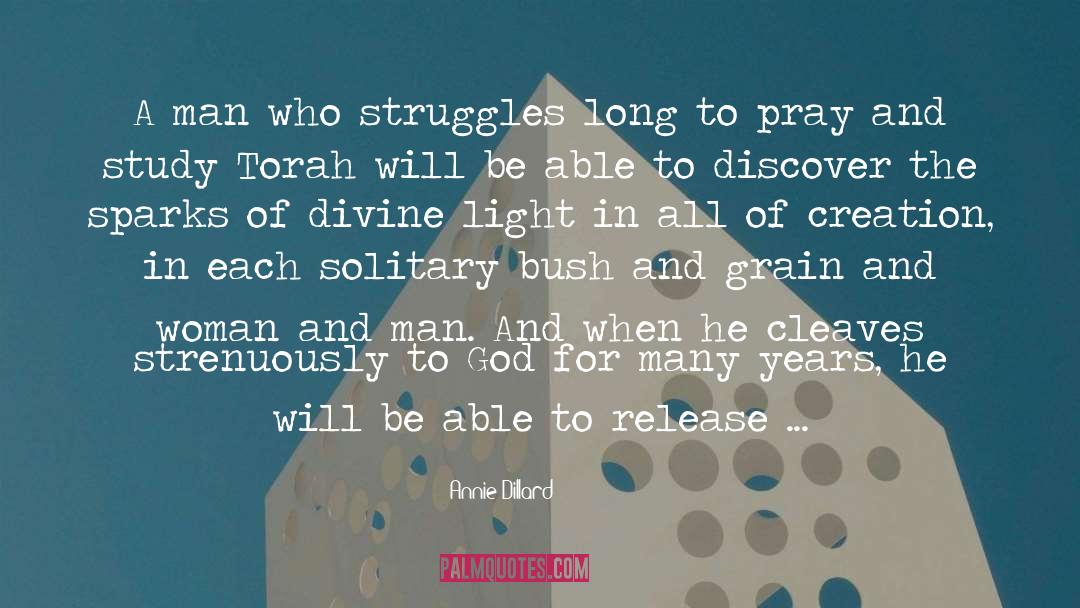 Divine Light quotes by Annie Dillard