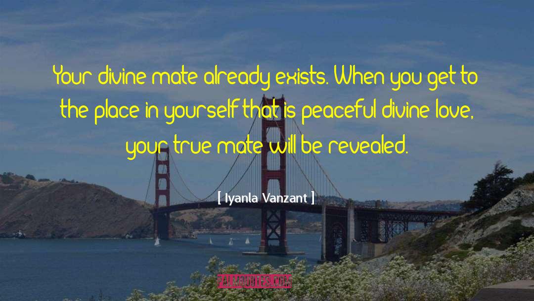 Divine Love quotes by Iyanla Vanzant