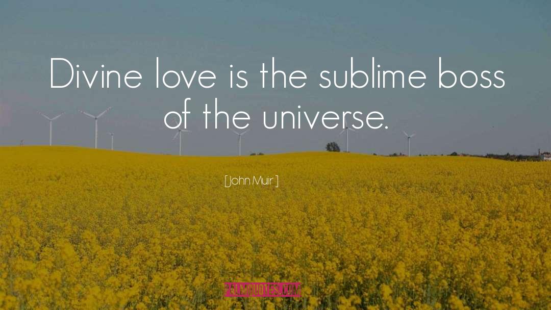 Divine Love quotes by John Muir