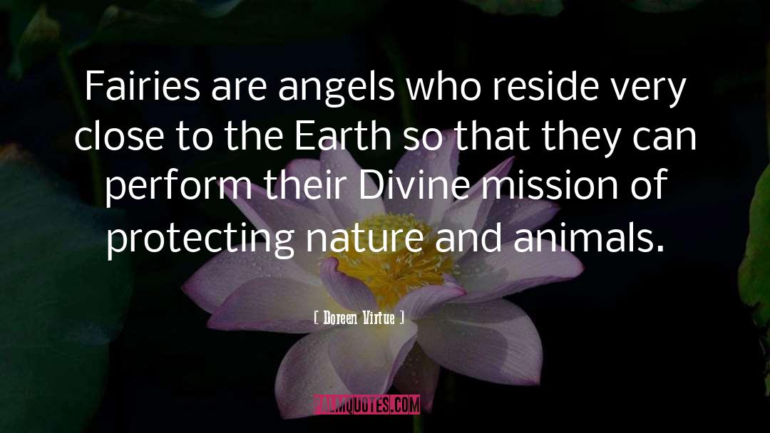 Divine Mission quotes by Doreen Virtue