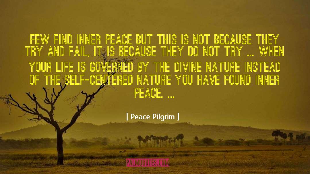 Divine Nature quotes by Peace Pilgrim