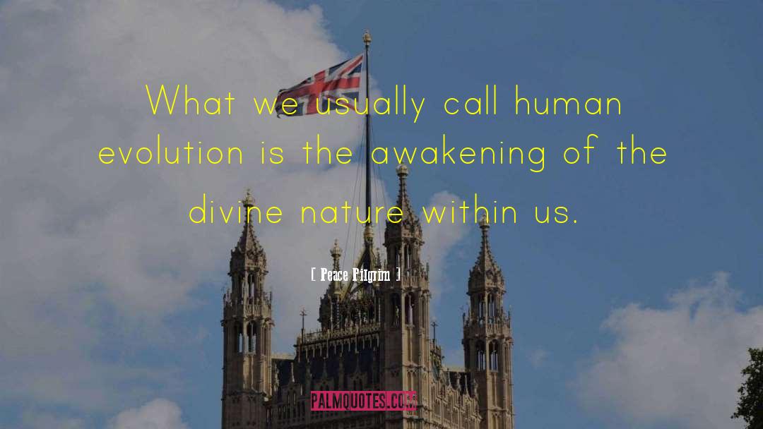 Divine Nature quotes by Peace Pilgrim