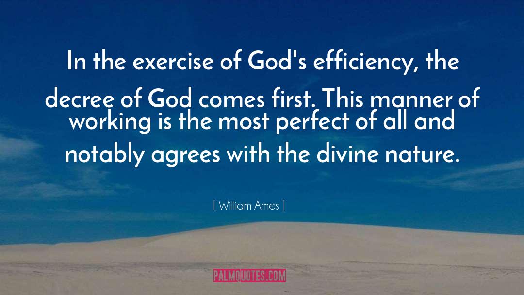 Divine Nature quotes by William Ames