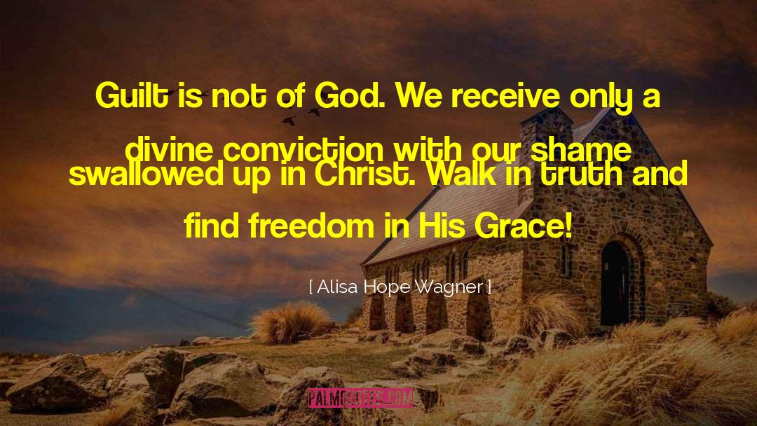 Divine Plan quotes by Alisa Hope Wagner