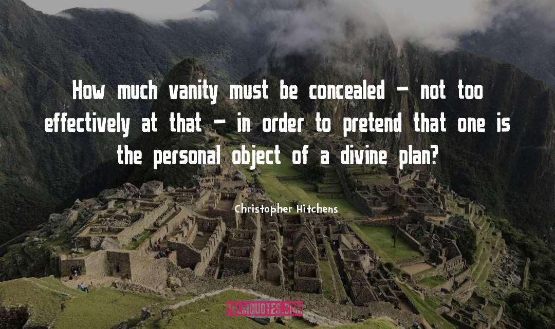 Divine Plan quotes by Christopher Hitchens