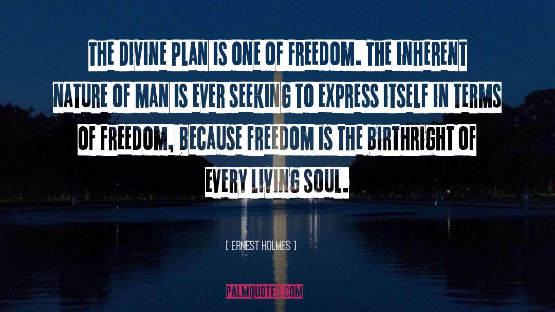 Divine Plan quotes by Ernest Holmes