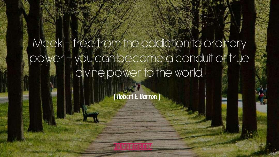 Divine Power quotes by Robert E. Barron
