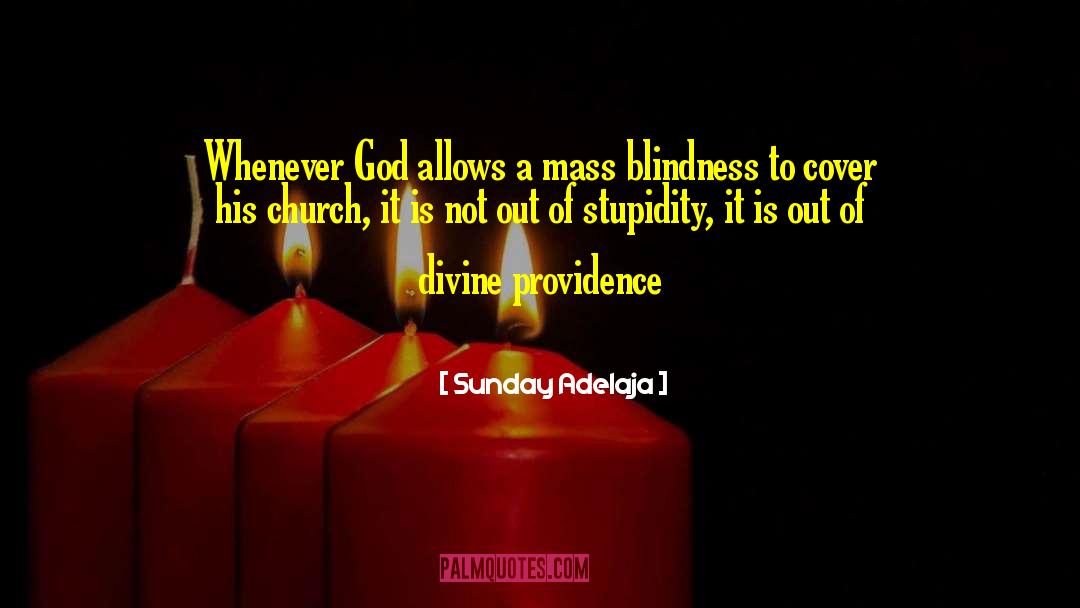 Divine Providence quotes by Sunday Adelaja