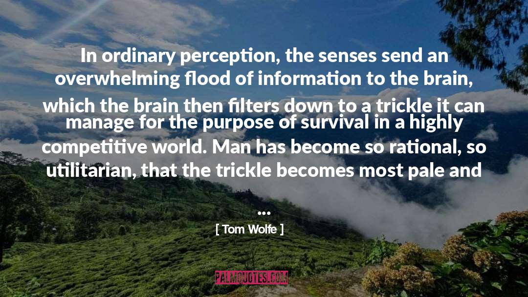 Divine quotes by Tom Wolfe