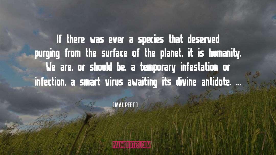 Divine quotes by Mal Peet
