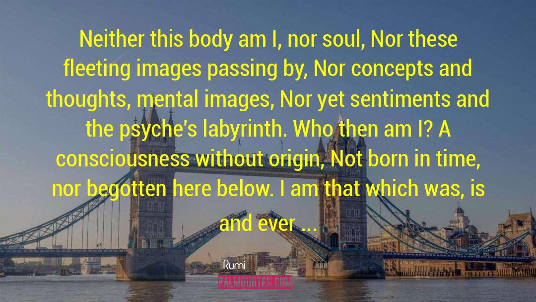 Divine Self quotes by Rumi