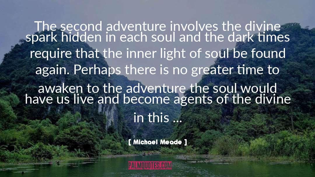 Divine Spark quotes by Michael Meade