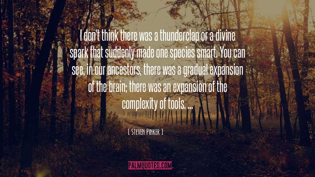 Divine Spark quotes by Steven Pinker