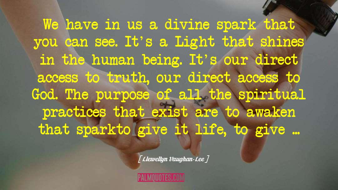 Divine Spark quotes by Llewellyn Vaughan-Lee