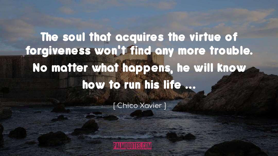 Divine Trouble quotes by Chico Xavier