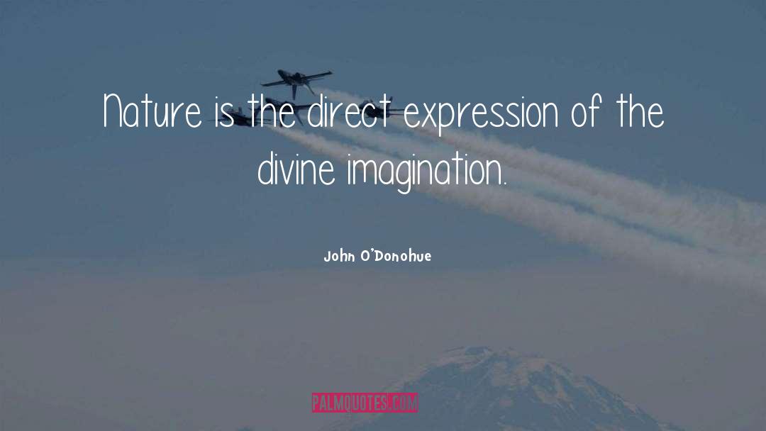 Divine Truth quotes by John O'Donohue