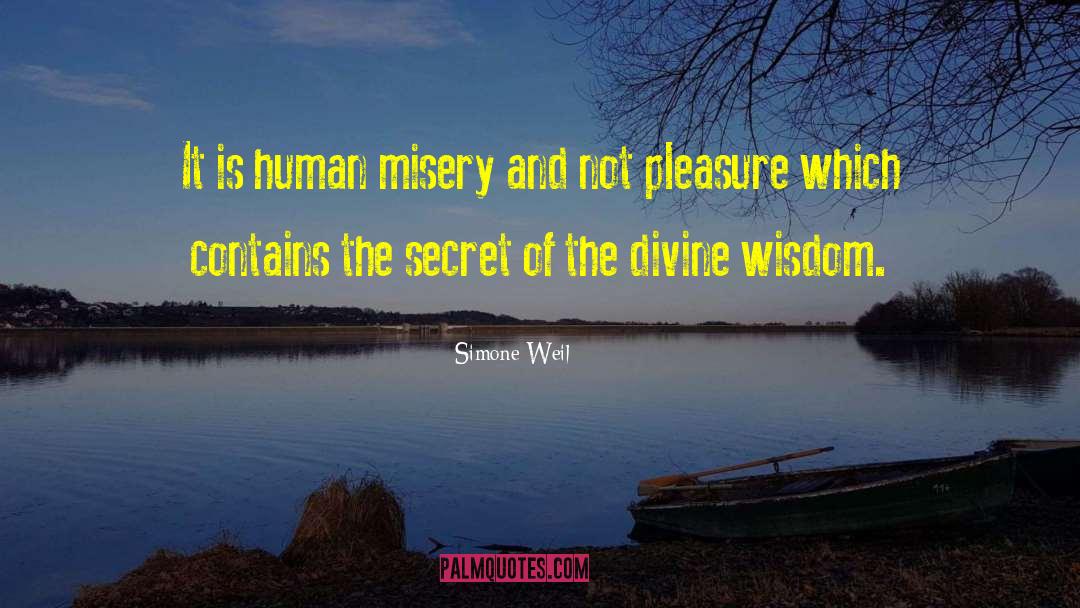 Divine Wisdom quotes by Simone Weil